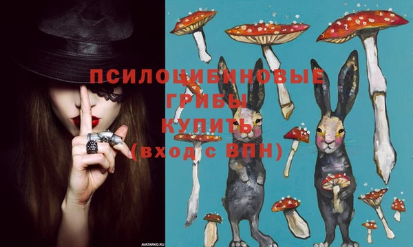 экстази Алзамай