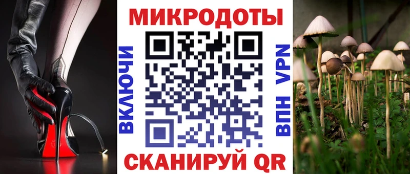 Галлюциногенные грибы GOLDEN TEACHER Тверь